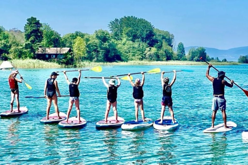Paddle cartes