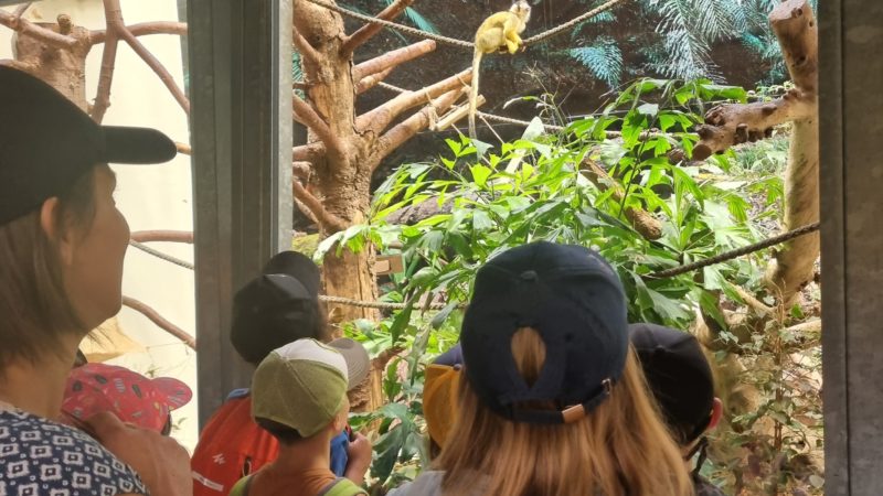 Coulisses du Zoo de Servion