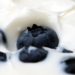 Fabrication de yogourts avec ELSA