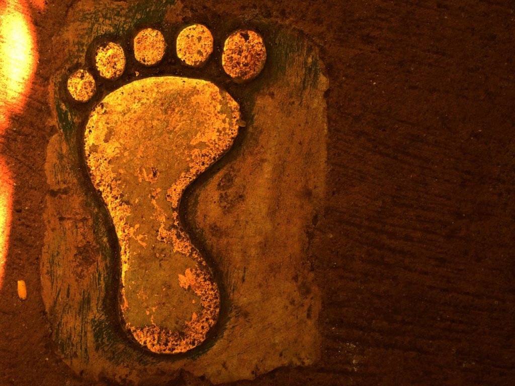 Pieds ©Rajib Ghosh
